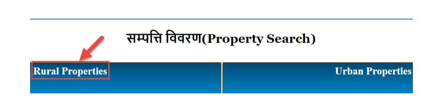 online registry check portal new