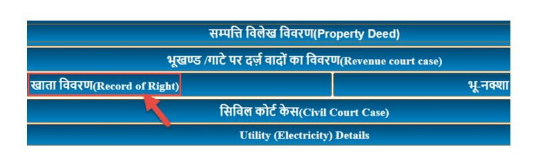 online registry check portal